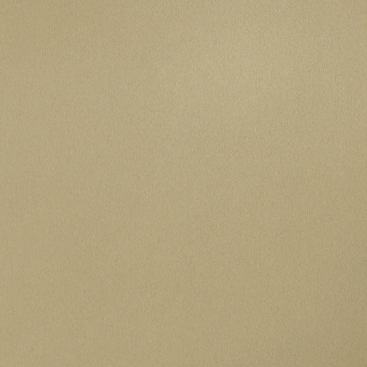 FD2042 Brushed Goldtone