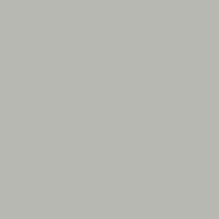 F0905 Silver