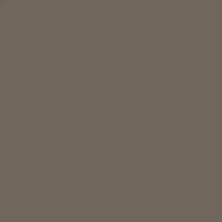 F2197 Nude Brown