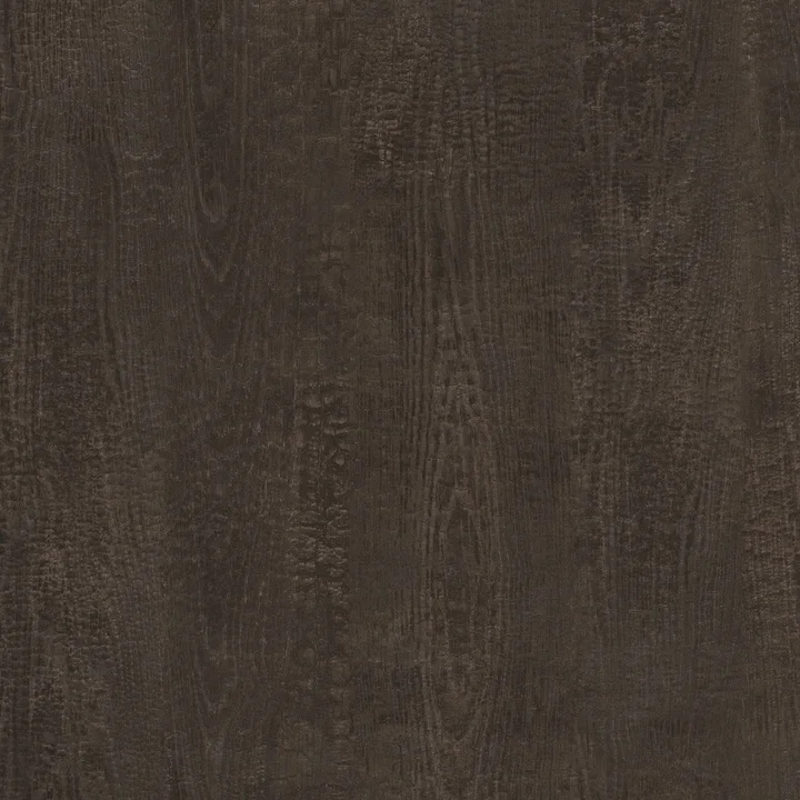 F5669 Fossile